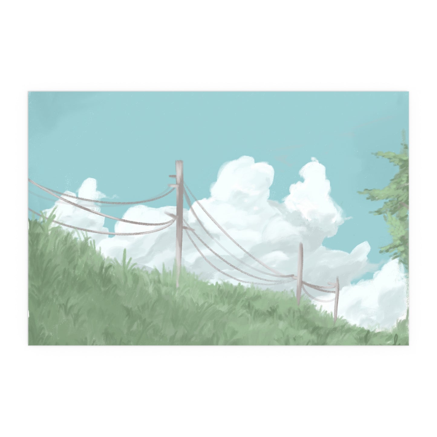 Sunny Skies