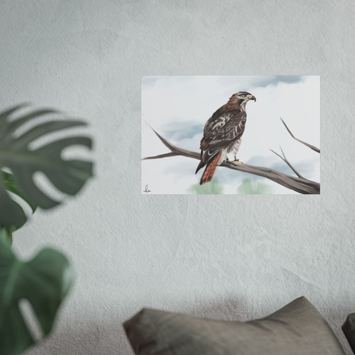 Elegant Red Kite