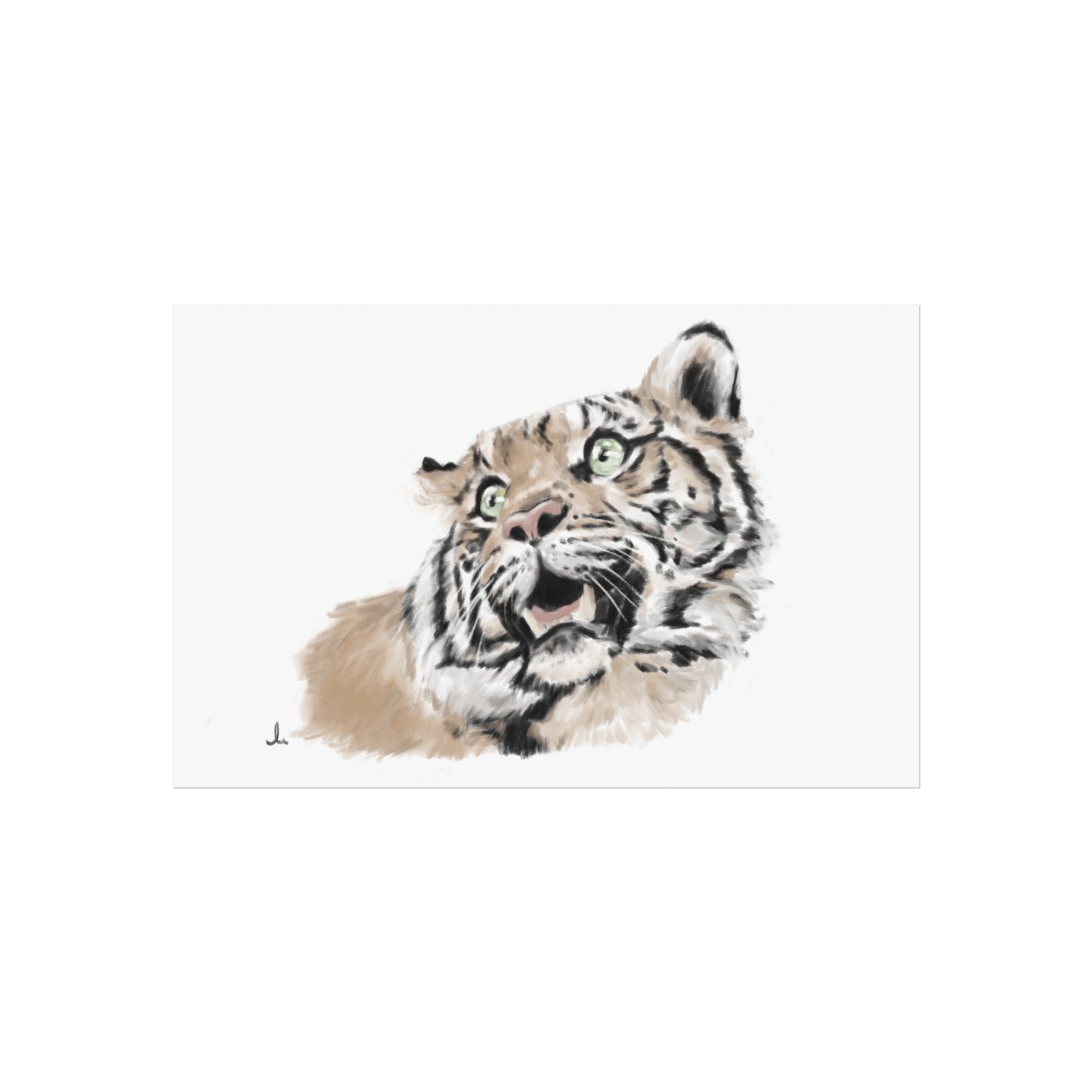 The jade eyed Tiger