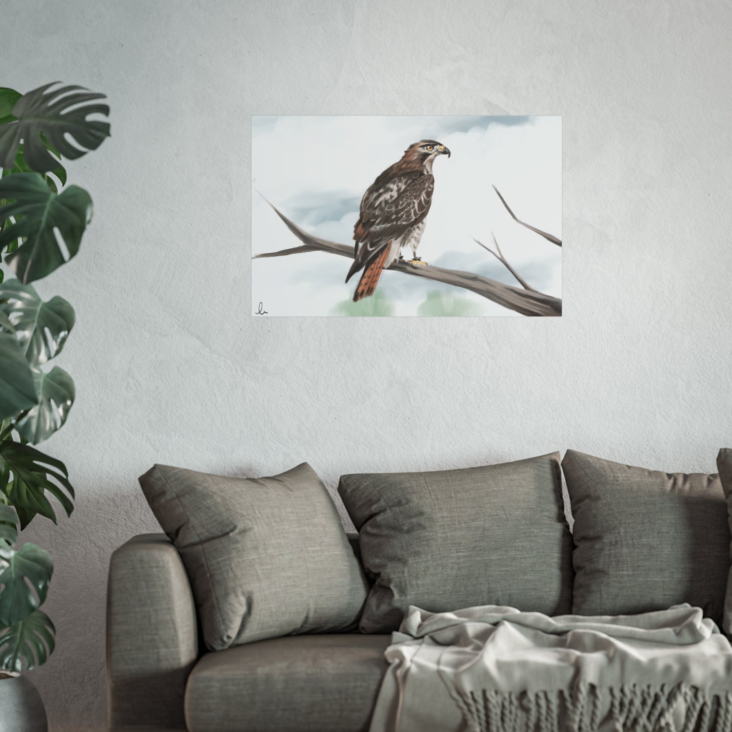 Elegant Red Kite