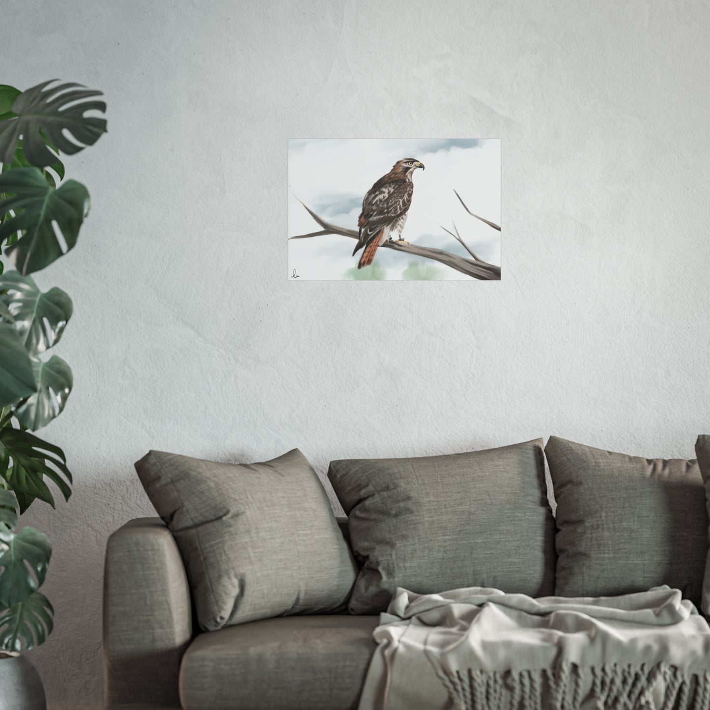 Elegant Red Kite
