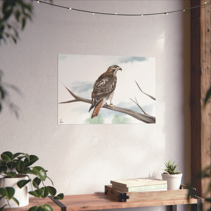 Elegant Red Kite