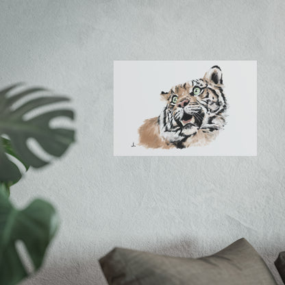 The jade eyed Tiger